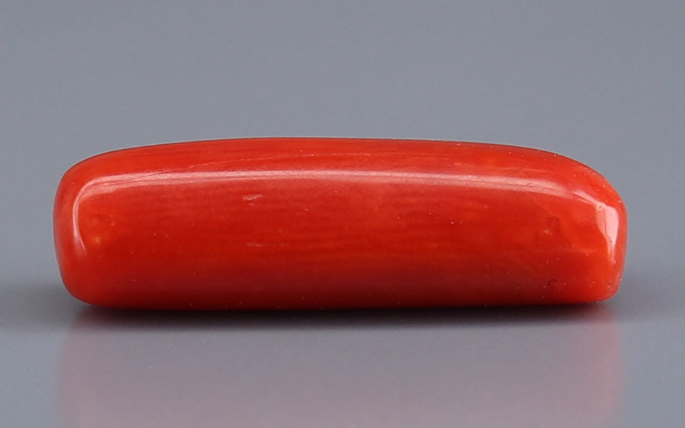 Red Coral - 6.05 Carat (6.69 Ratti - Moonga)