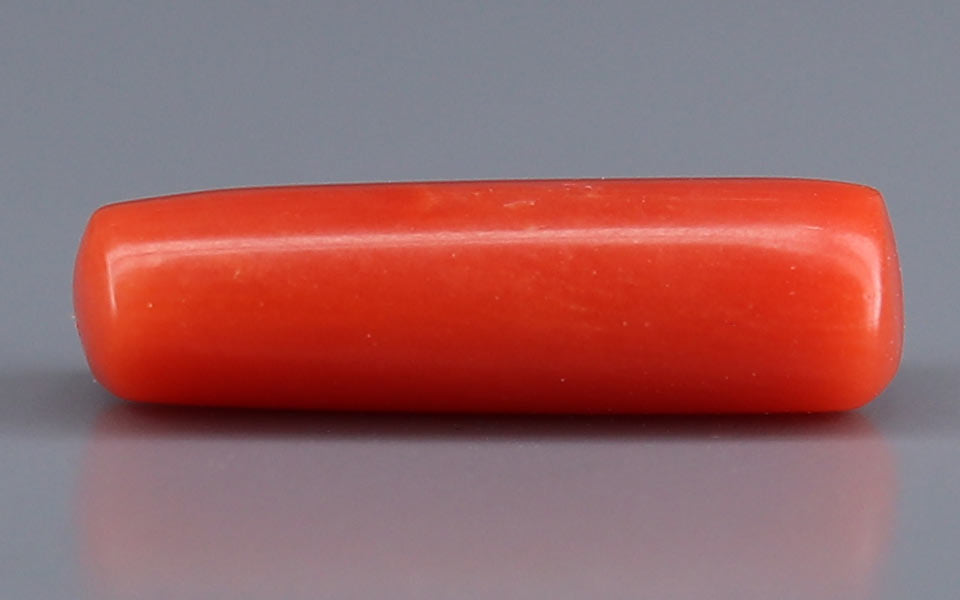 Red Coral - 3.68 Carat (4.07 Ratti - Moonga)
