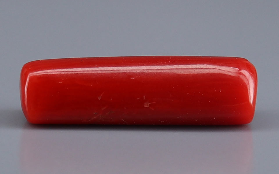 Red Coral - 5.09 Carat (5.62 Ratti - Moonga)