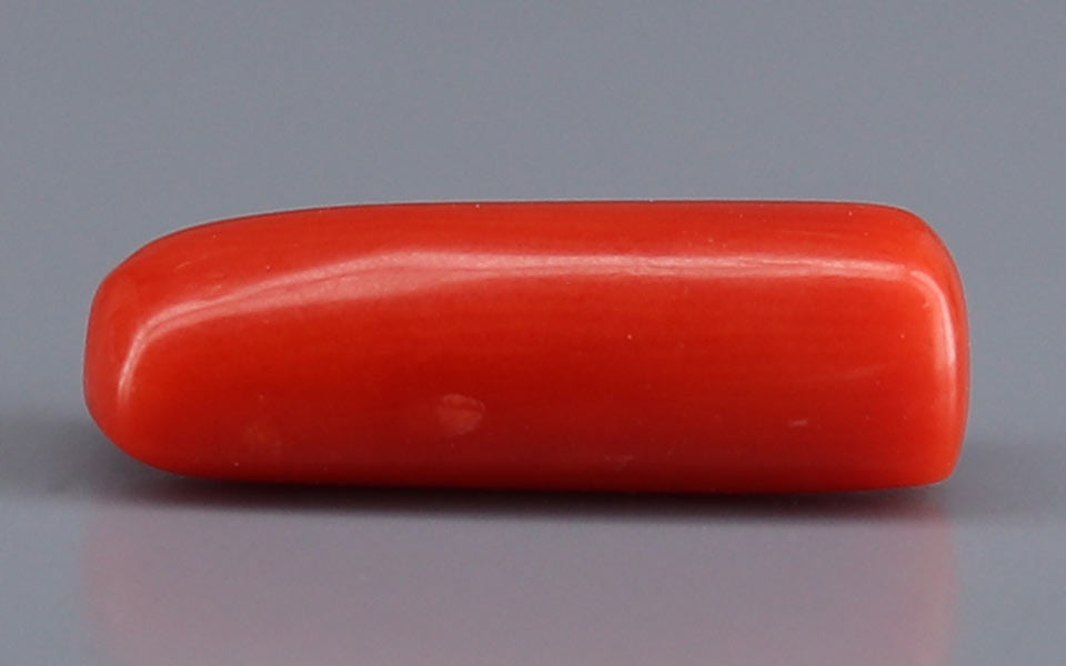 Red Coral - 4.38 Carat (4.84 Ratti - Moonga)