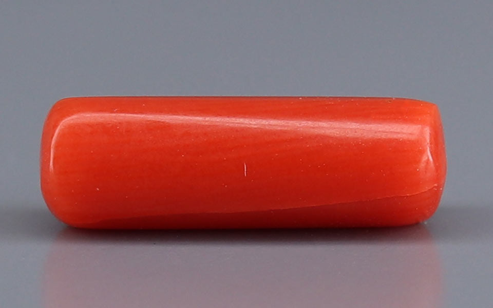 Red Coral - 3.64 Carat (4.02 Ratti - Moonga)