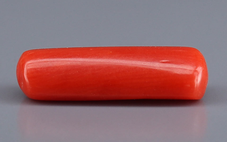 Red Coral - 5.72 Carat (6.32 Ratti - Moonga)