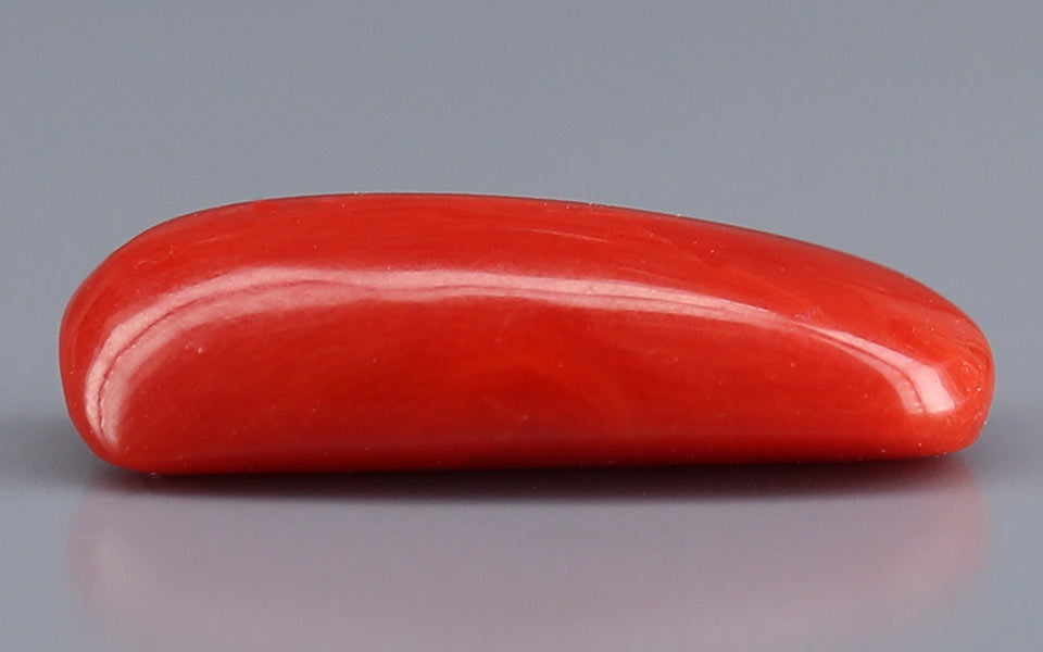 Red Coral - 5.48 Carat (6.06 Ratti - Moonga)