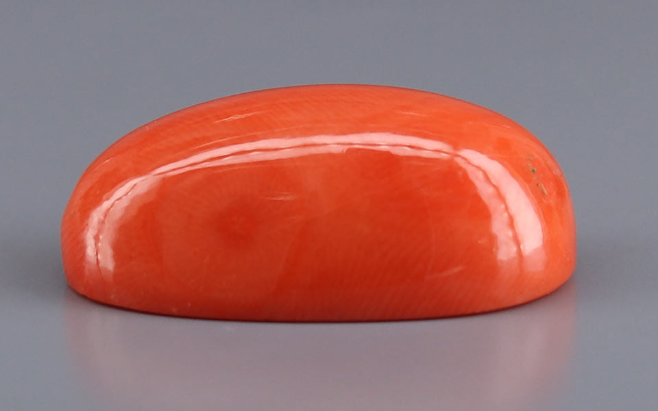 Red Coral - 26.38 Carat (29.15 Ratti - Moonga)