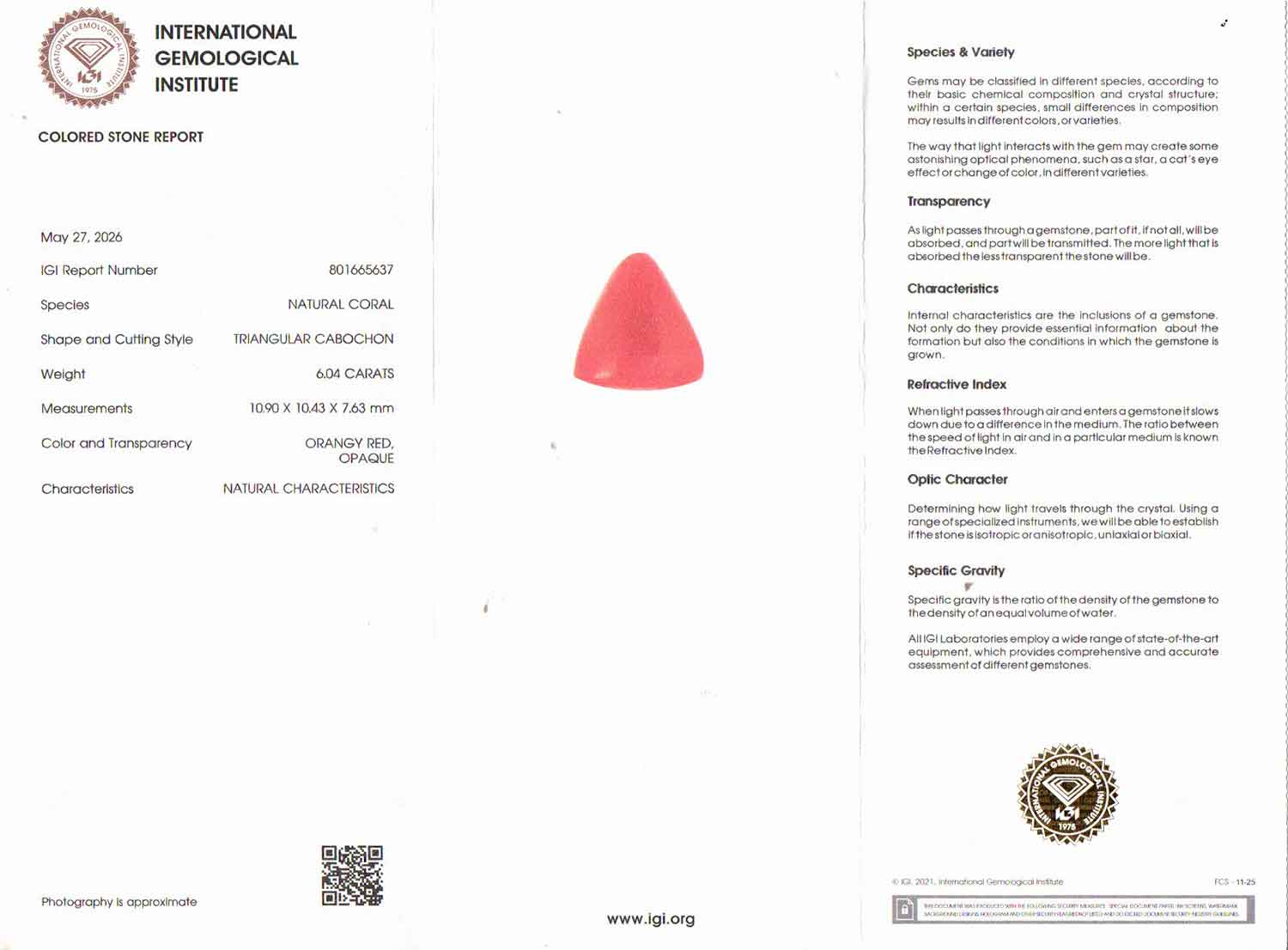 Red Coral - 6.04 Carat (6.67 Ratti - Moonga)
