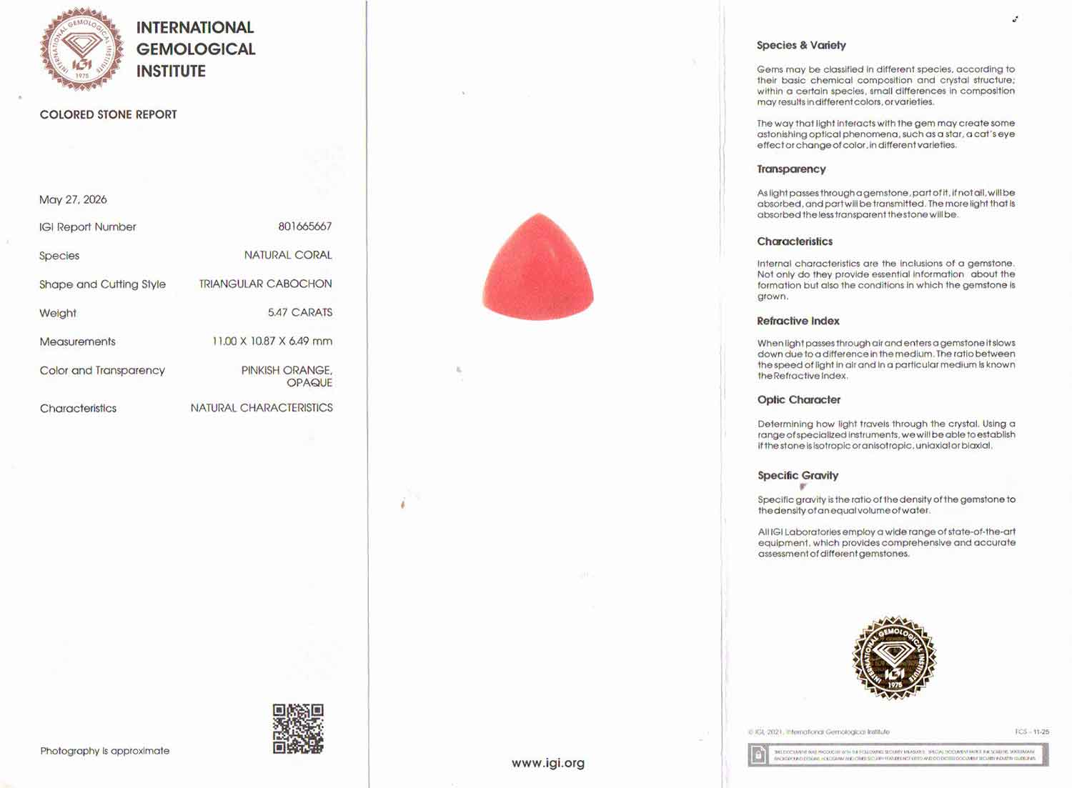 Red Coral - 5.47 Carat (6.04 Ratti - Moonga)