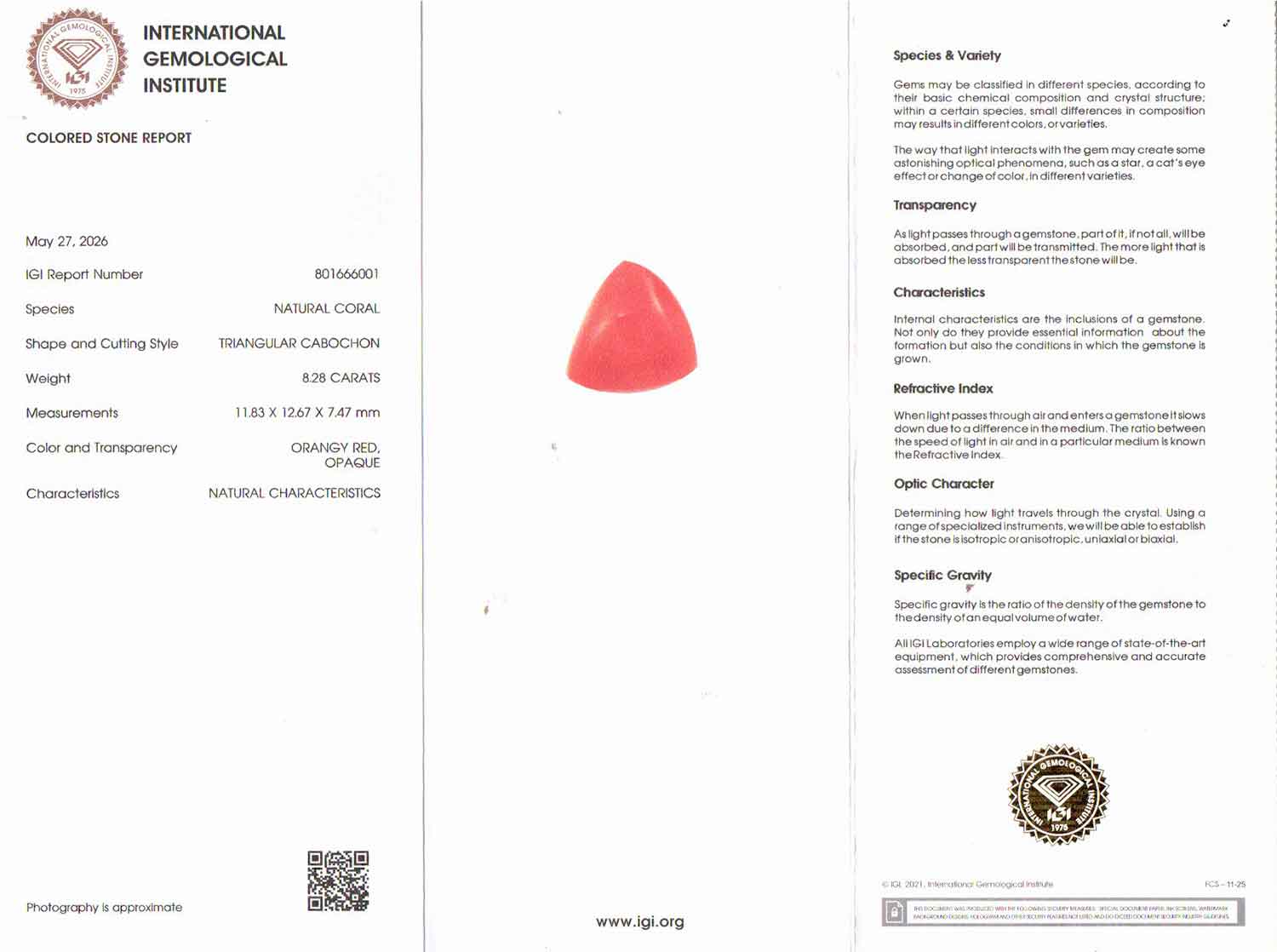 Red Coral - 8.28 Carat (9.15 Ratti - Moonga)