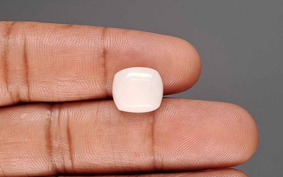 White Coral - 5.86 Carat