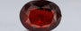 Hessonite (Gomed) - 10.69 Carat