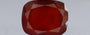 African Hessonite Garnet - 10.88 Carat Prime Quality HG-8396