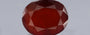 Hessonite (Gomed) - 11.14 Carat