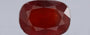Hessonite (Gomed) - 11.24 Carat