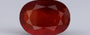 Hessonite (Gomed) - 12.06 Carat