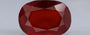 Hessonite (Gomed) - 12.88 Carat