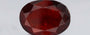 Hessonite (Gomed) - 13.14 Carat