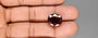 Hessonite (Gomed) - 14.57 Carat
