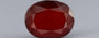 Hessonite (Gomed) - 14.95 Carat