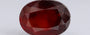 Hessonite (Gomed) - 15.23 Carat