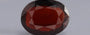 Hessonite (Gomed) - 5.33 Carat