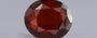 Hessonite (Gomed) - 5.85 Carat
