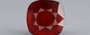 African Hessonite Garnet - 9.12 Carat Prime Quality HG-8273