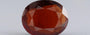 Hessonite (Gomed) - 9.68 Carat