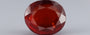 Hessonite (Gomed) - 9.70 Carat