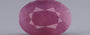 African Ruby - 5.45 Carat Limited Quality BR-7340