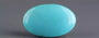 Arizona Turquoise - 8.50 Carat Limited Quality TQS-13623