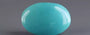 Arizona Turquoise - 8.52 Carat Limited Quality TQS-13621