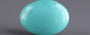Arizona Turquoise - 9.27 Carat Rare Quality TQS-13716
