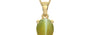 Ashtadhatu Cat's Eye Pendant Limited Quality (P10)