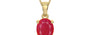 Ashtadhatu Ruby Pendant Prime Quality (P10)