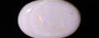 Australian Opal - 11.69 Carat Prime Quality OPL-11527