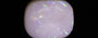 Australian Opal - 12.46 Carat Prime Quality OPL-11525