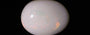 Australian Opal - 12.84 Carat Limited Quality OPL-11531