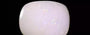 Australian Opal - 12.96 Carat Prime Quality OPL-11259
