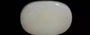 Australian Opal - 14.38 Carat Prime Quality OPL-11389