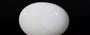Australian Opal - 2.81 Carat Limited Quality OPL-11248