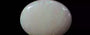 Australian Opal - 3.28 Carat Rare Quality OPL-11341
