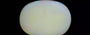 Australian Opal - 4.25 Carat Prime Quality OPL-11350
