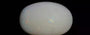 Australian Opal - 4.67 Carat Prime Quality OPL-11386