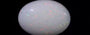 Australian Opal - 4.79 Carat Limited Quality OPL-11471