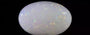 Australian Opal - 5.30 Carat Limited Quality OPL-11479