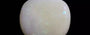 Australian Opal - 5.30 Carat Prime Quality OPL-11387