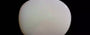 Australian Opal - 5.56 Carat Prime Quality OPL-11394