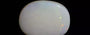Australian Opal - 5.60 Carat Prime Quality OPL-11361