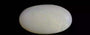Australian Opal - 5.63 Carat Prime Quality OPL-11372