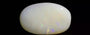 Australian Opal - 5.89 Carat Prime Quality OPL-11355