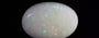 Australian Opal - 6.33 Carat Limited Quality OPL-11457